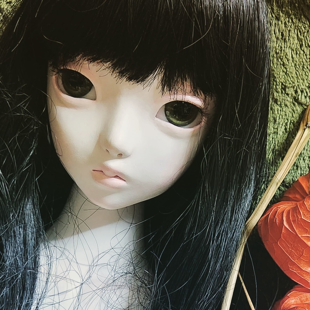 《鬼灯》/ Dollhouse Noah