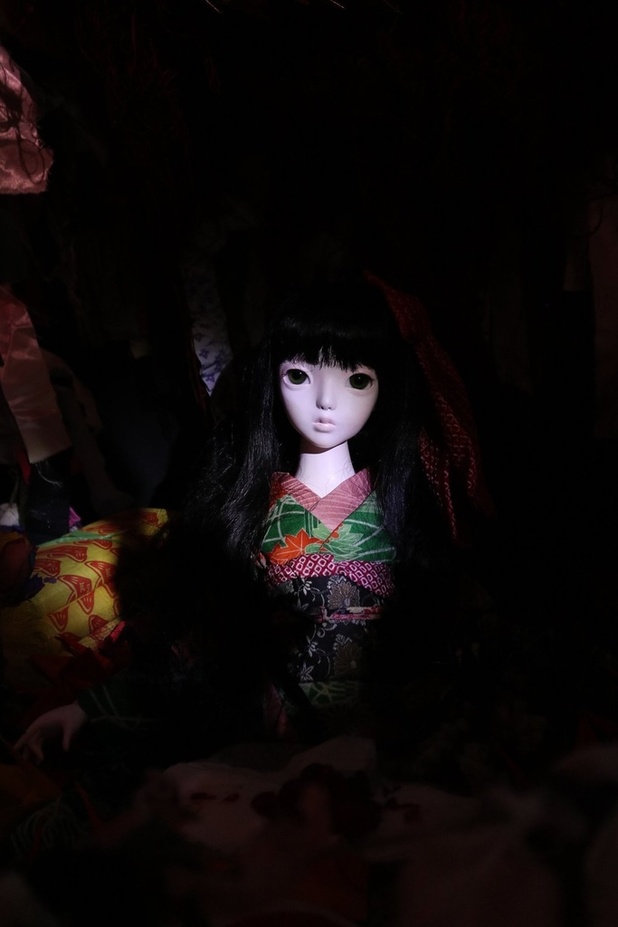 《鬼灯》/ Dollhouse Noah