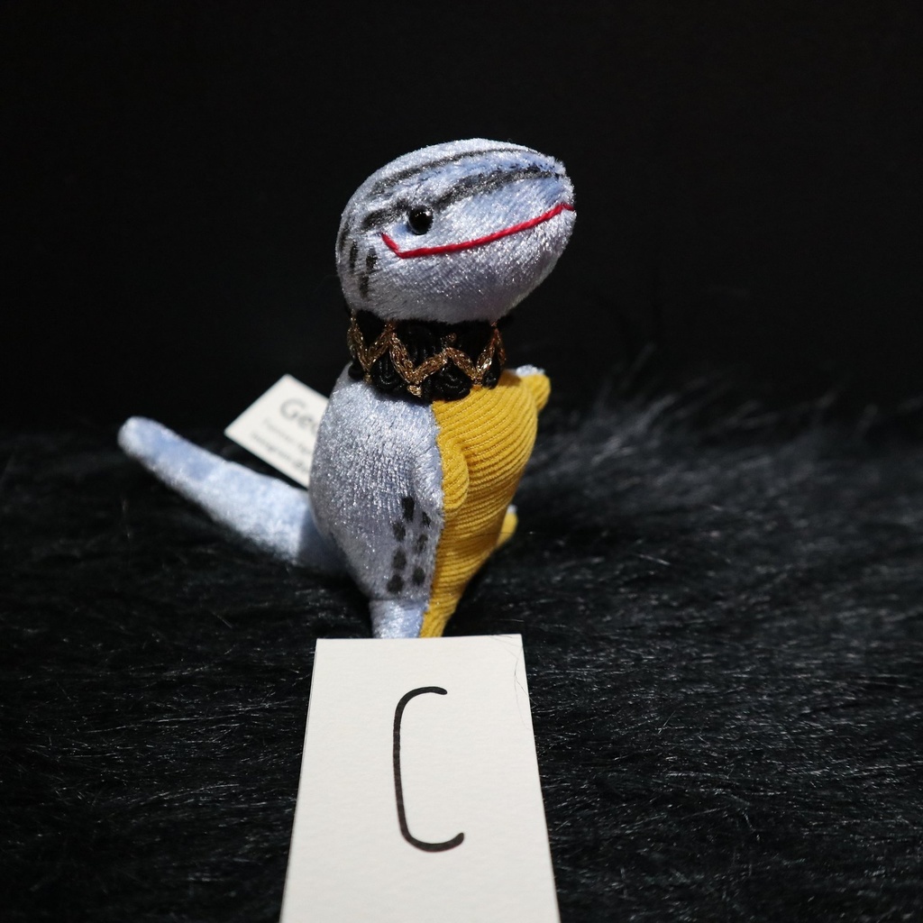 イモリくん・ヤモリくん たち / ジョウヂ