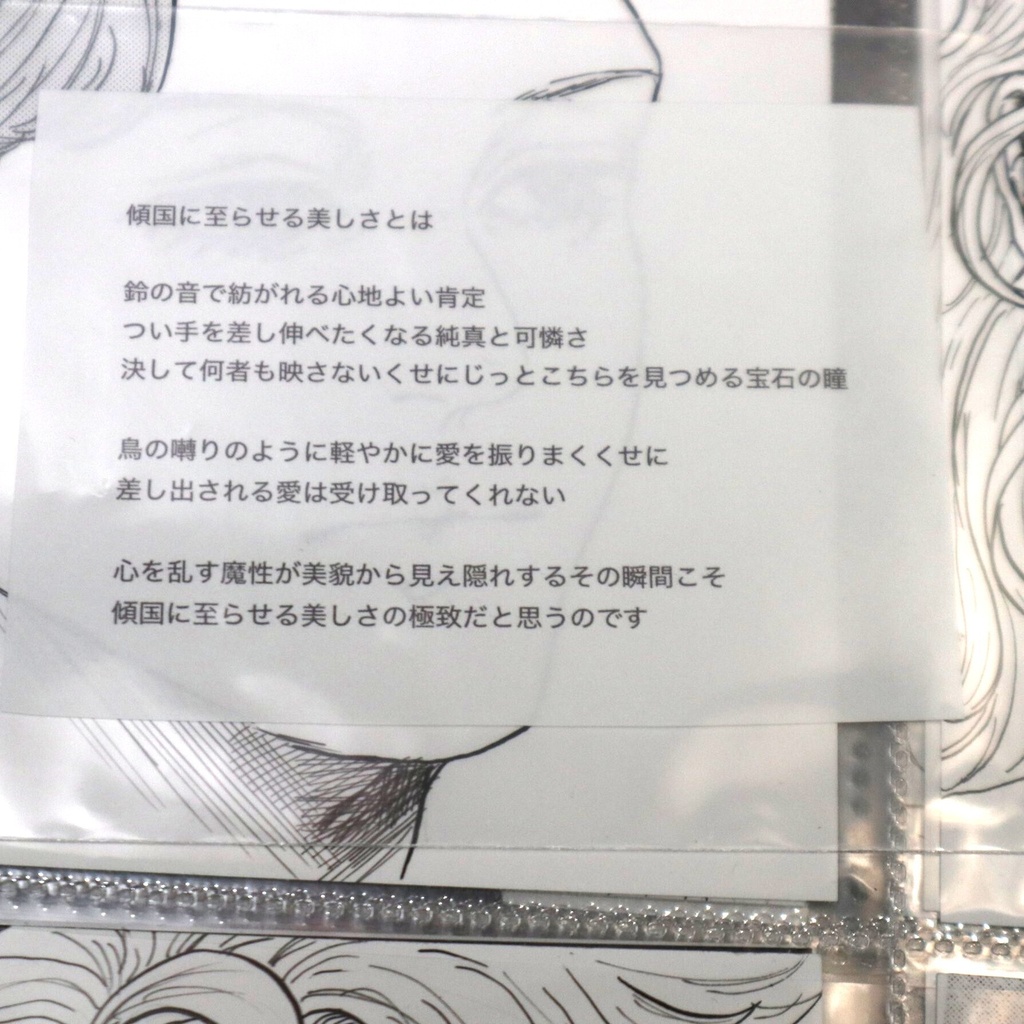 美しい顔たち ドローイング / 染谷お茶