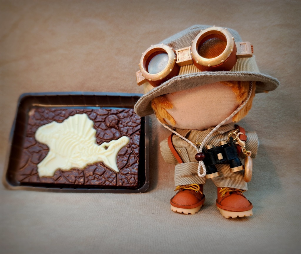 たんけんかのセット