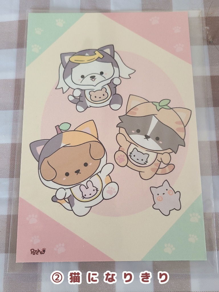 赤ちゃん犬もり(ポストカード)3種@ぽんちゃ