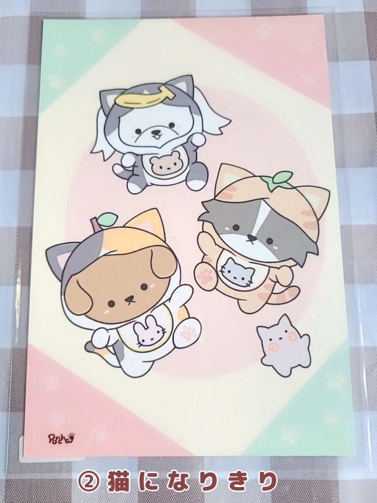 赤ちゃん犬もり(ポストカード)4種@ぽんちゃ