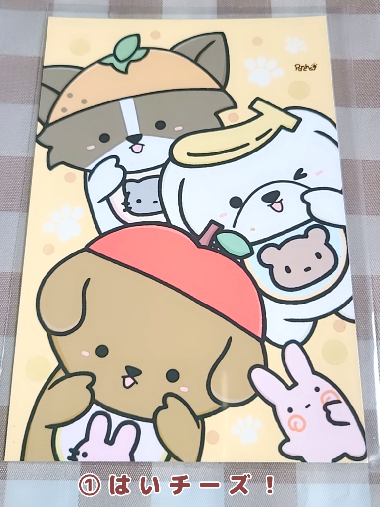 赤ちゃん犬もり(ポストカード)4種@ぽんちゃ