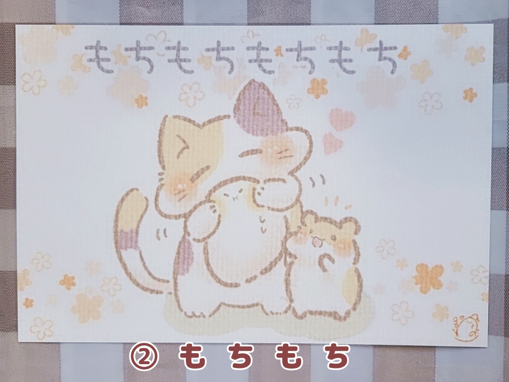 もちること仲間たち(ポストカード)全5種類@わがしうまし