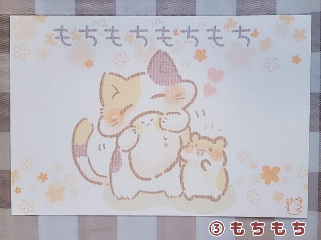 もちること仲間たち(ポストカード)3種類+セット売り@わがしうまし