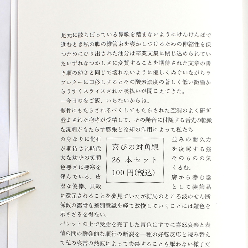 【単品】CAKE