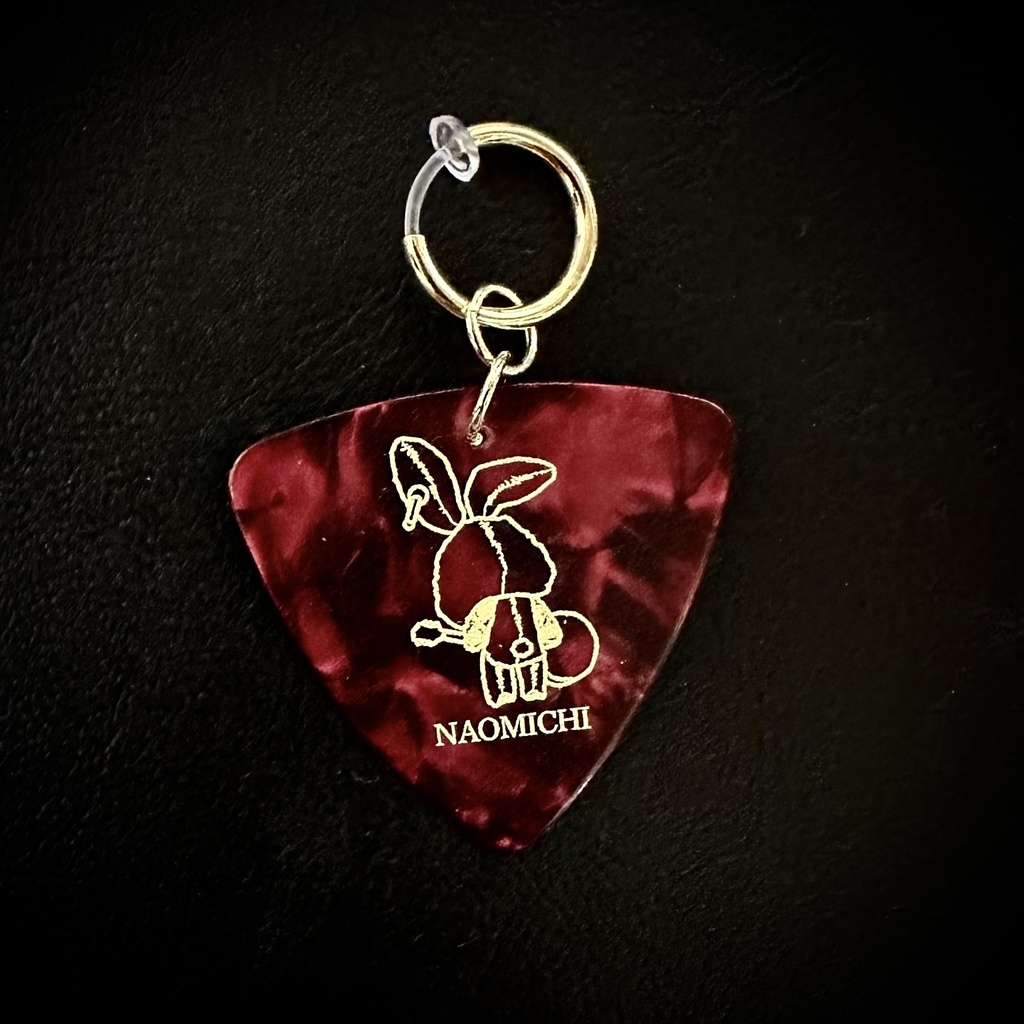 オリジナルピックイヤリング