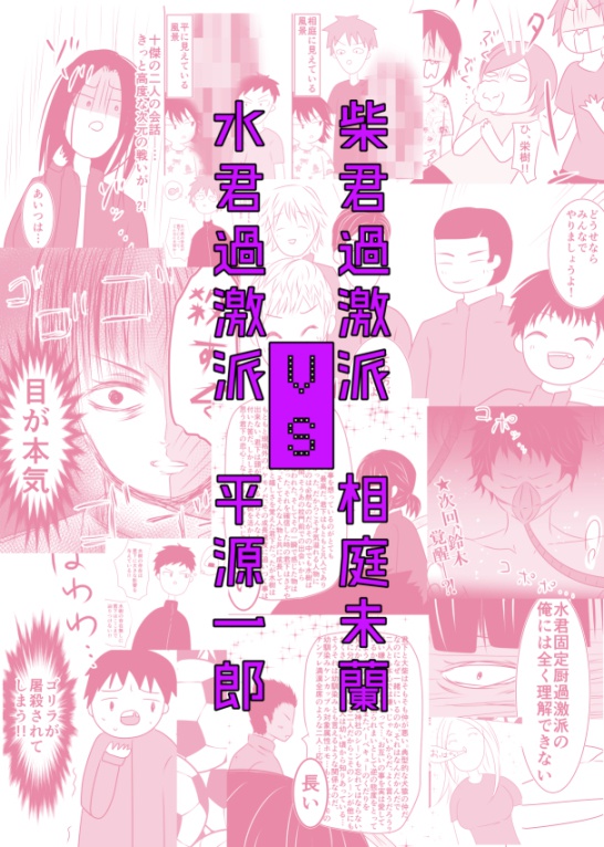 柴君過激派相庭未蘭VS水君過激派平源一郎