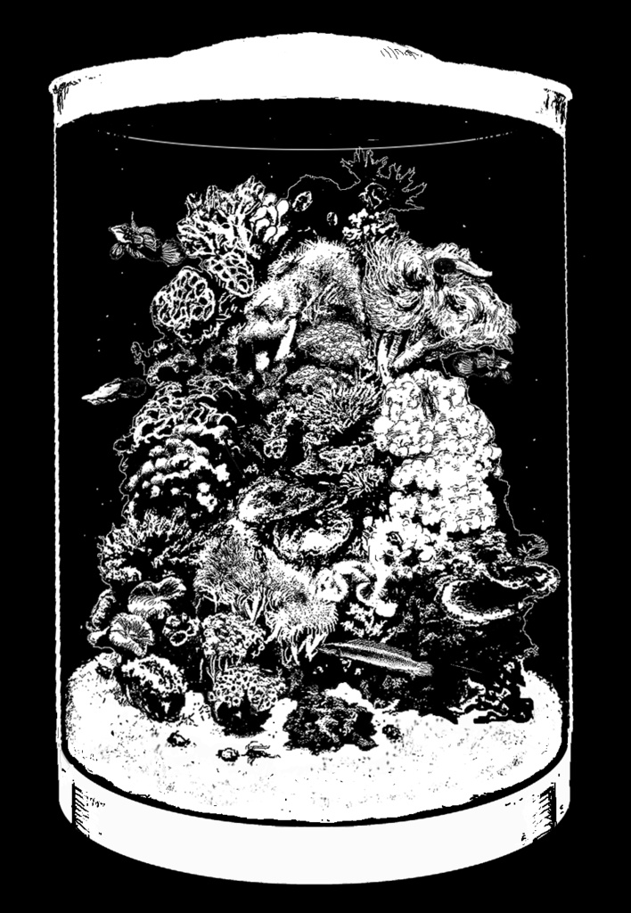 THANATOS水槽読本