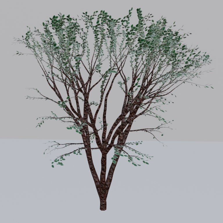 【無料】樹木（blend,fbx）