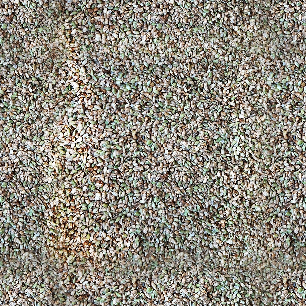 未成熟米テクスチャー素材(Immature rice texture)