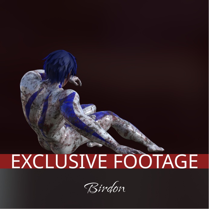 Birdon - Exclusive Footage