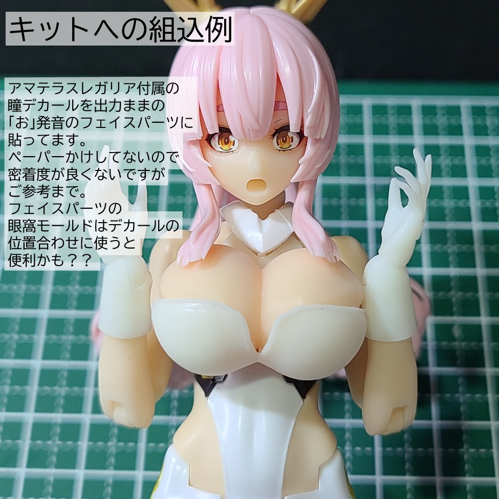 おためしトライアルセット 第2弾