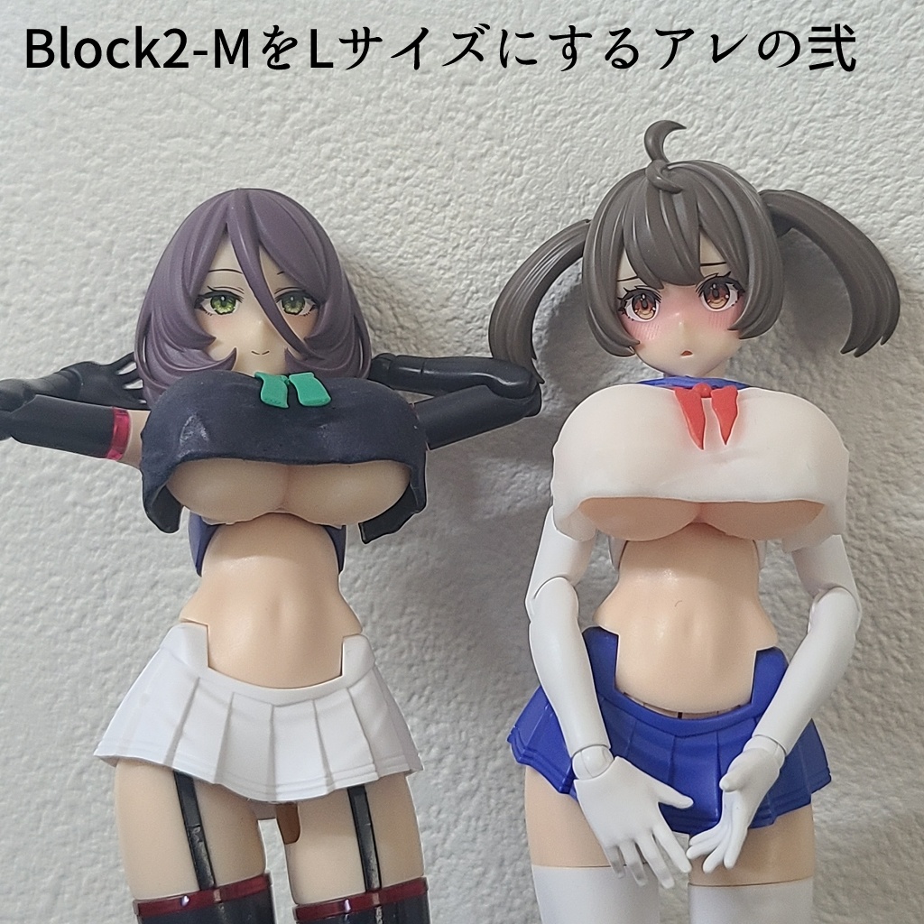 Block2-MをLサイズにする再販+α