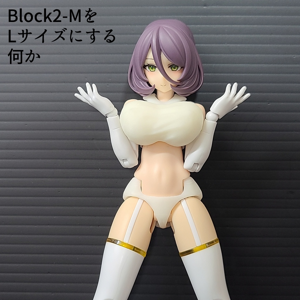 Block2-MをLサイズにする再販+α