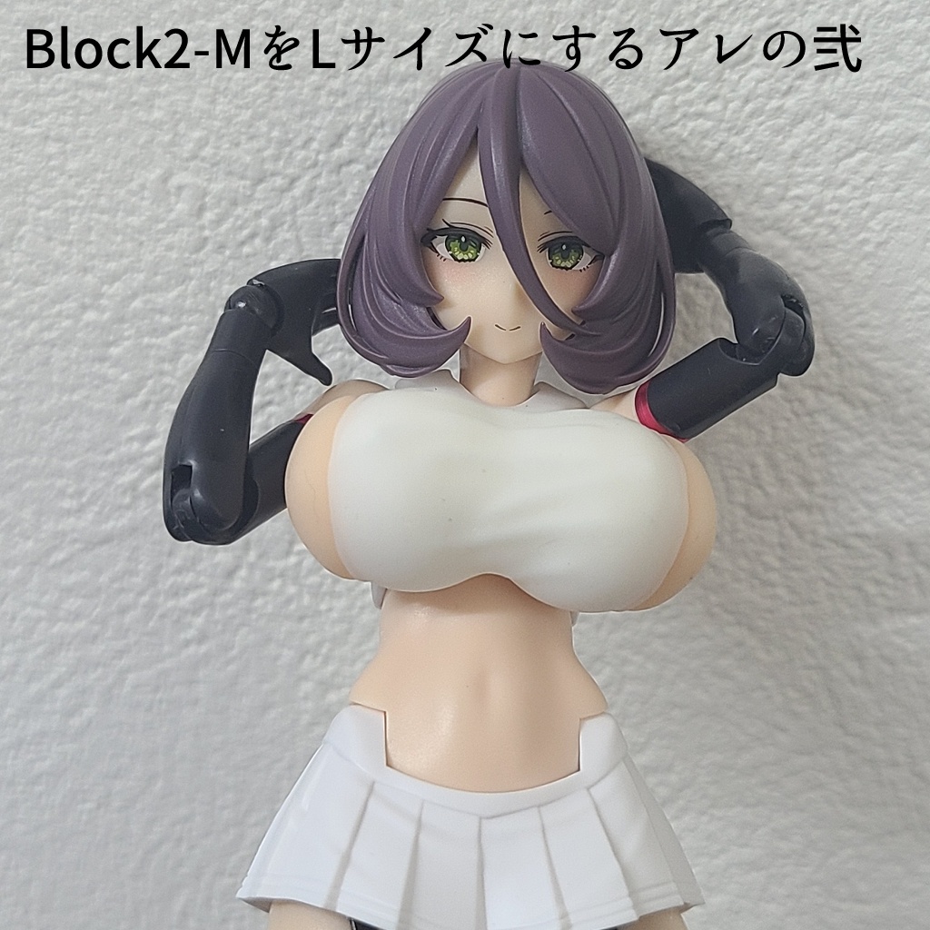 Block2-MをLサイズにする再販+α