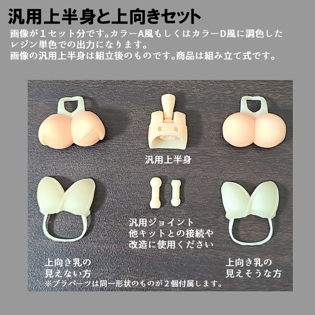 汎用上半身と上向きセット