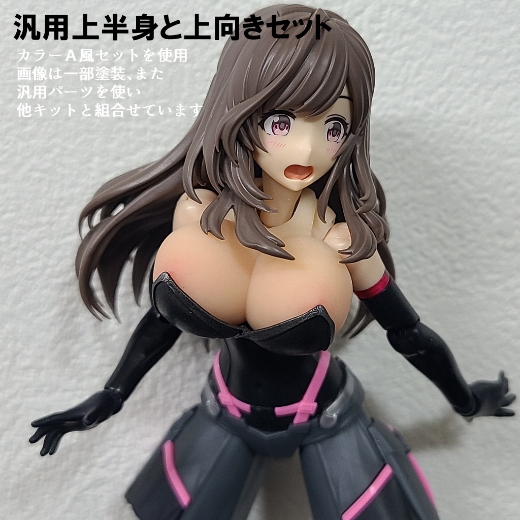 汎用上半身と上向きセット