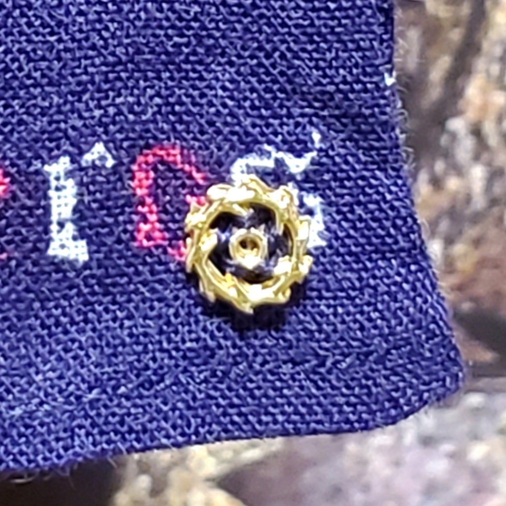 🐺ゴシックスタンドカラーシャツ⚙️