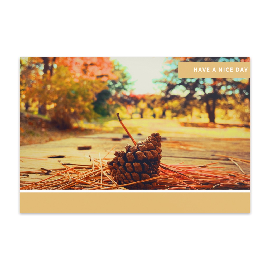 ポストカード6