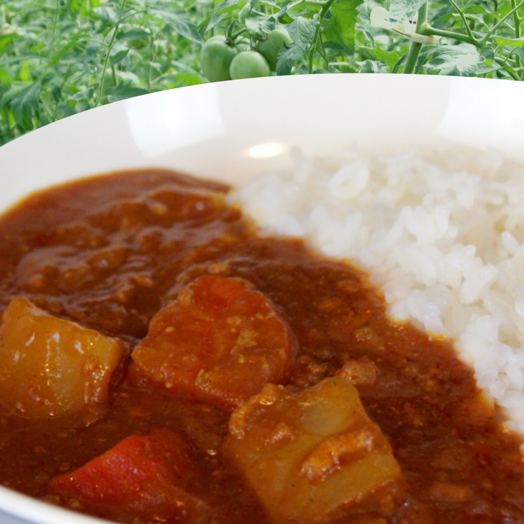 完熟トマトカレー&大玉トマト「ちっちゃな太陽」セット