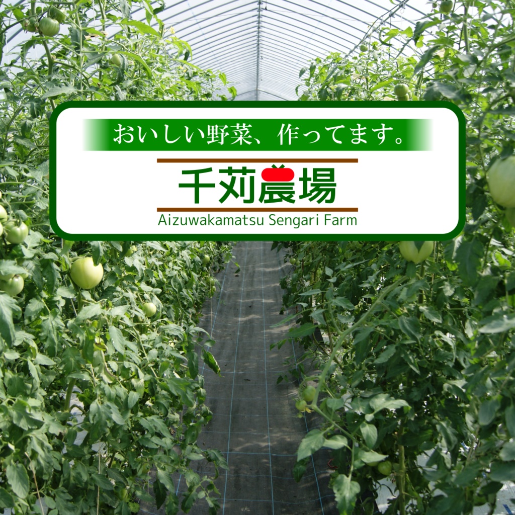 完熟トマトカレー&大玉トマト「ちっちゃな太陽」セット