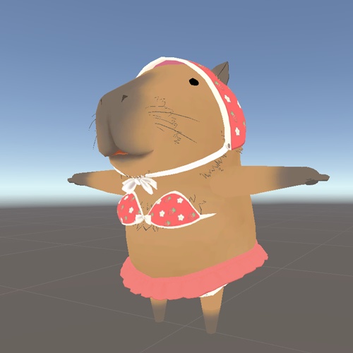 水着(かっぴー専用)