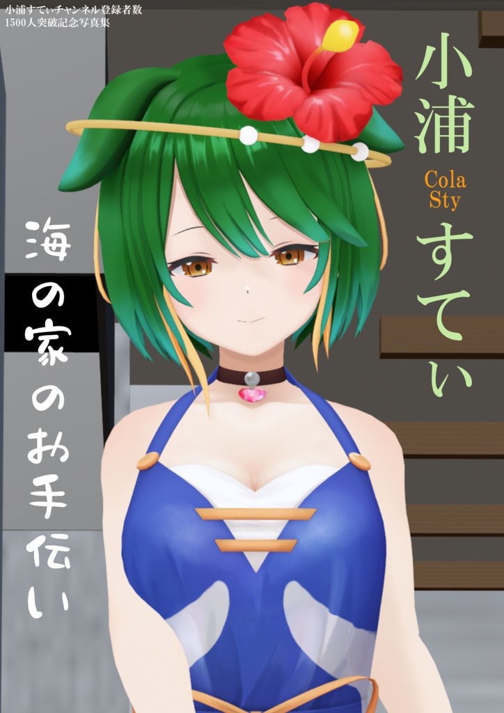 小浦すてい記念写真集 「海の家のお手伝い」