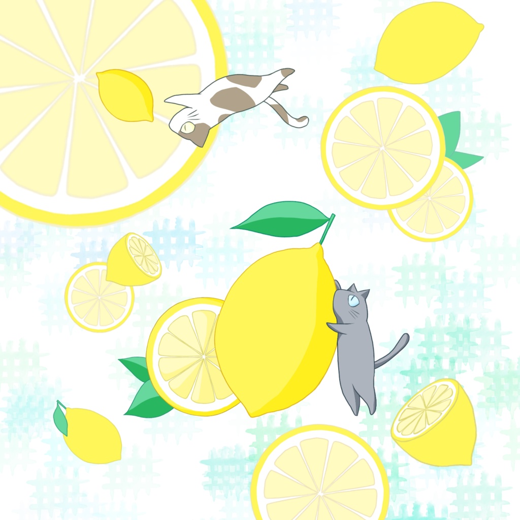 ハヤリュウ概念 猫 メガネ拭き