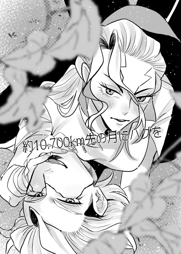 約10.700km先の月にハグを