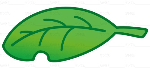 葉っぱイラスト
