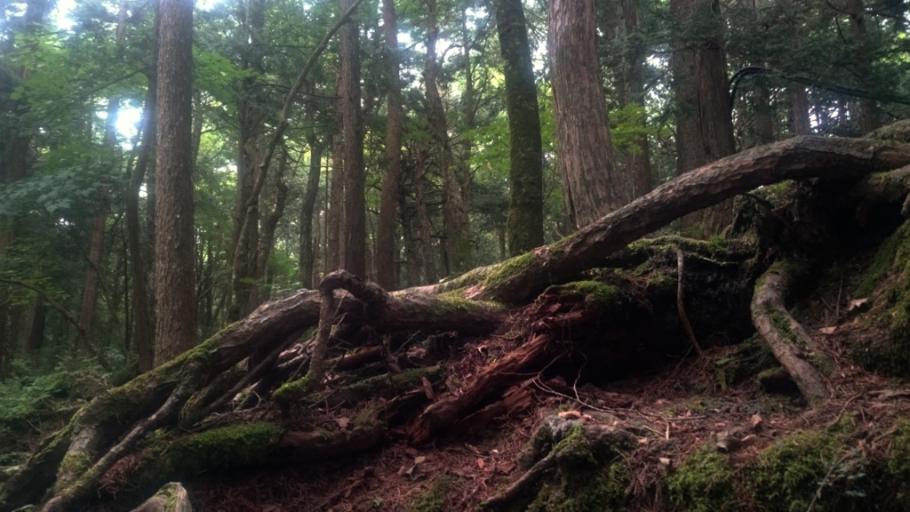 TRPG『ロスト・サバイバー』