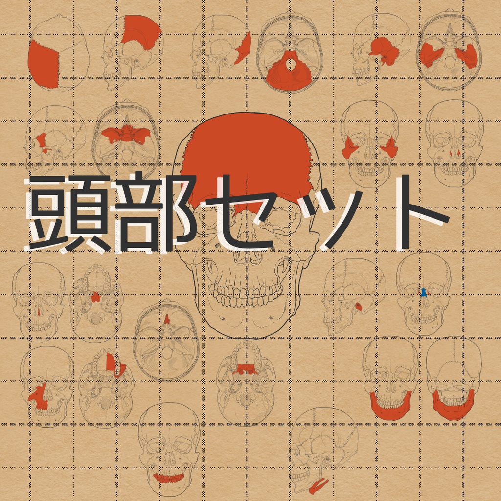 頭部セット
