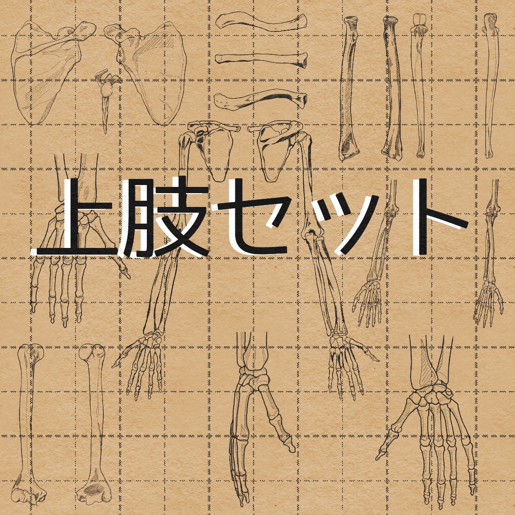 上肢セット