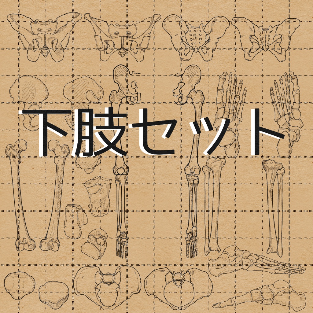 下肢セット