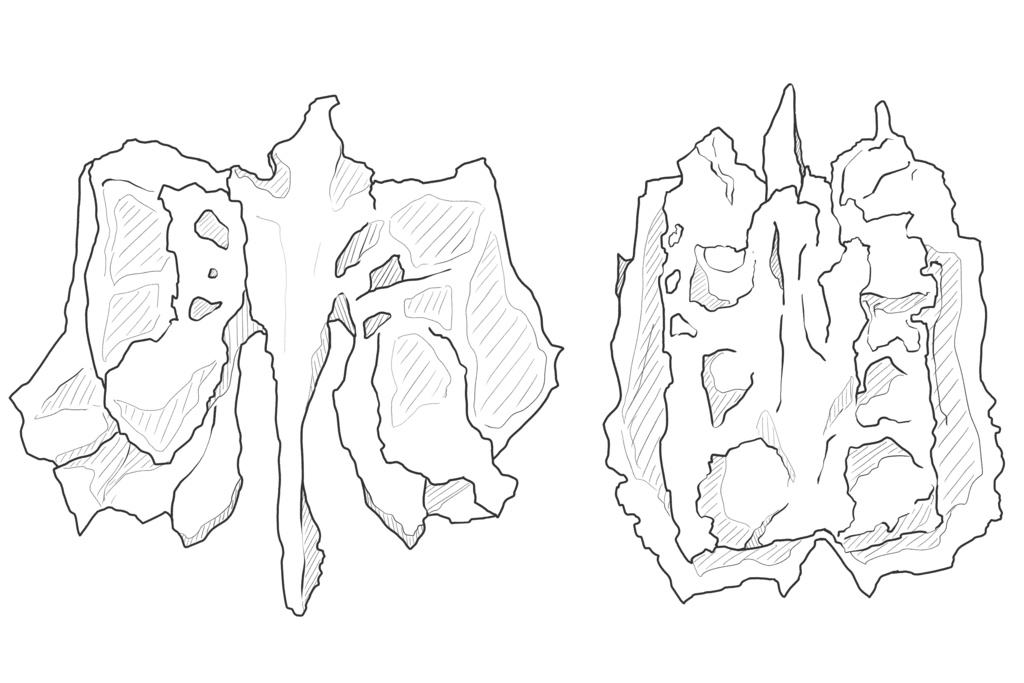 篩骨　透過なし
