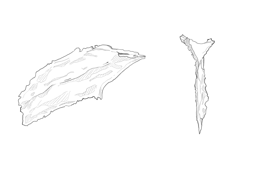 鋤骨　透過なし