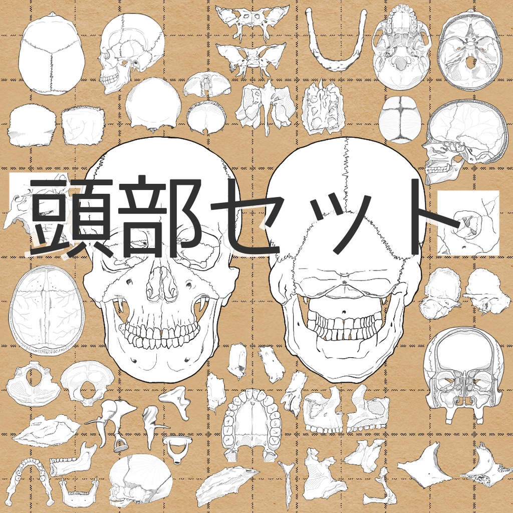 頭部セット売り 透過なしver.