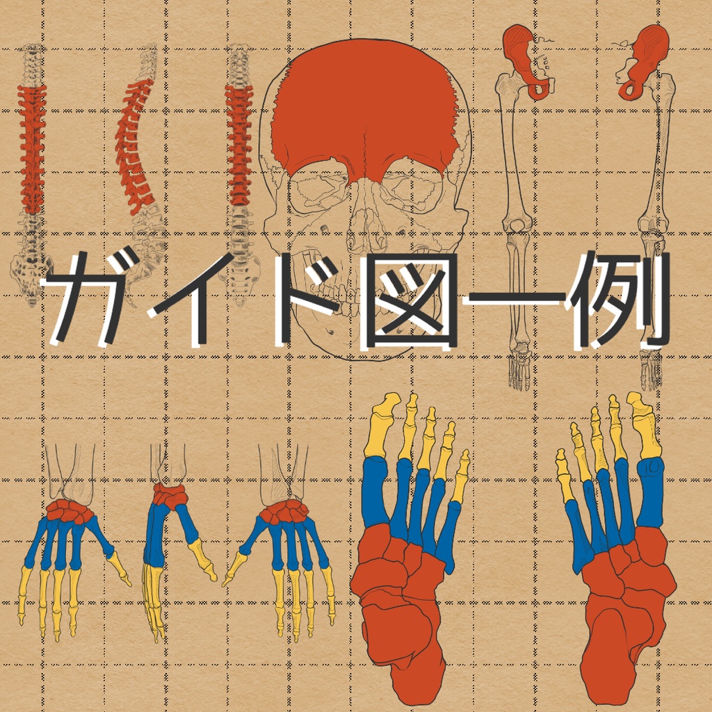 全身セット売り 透過なしver.