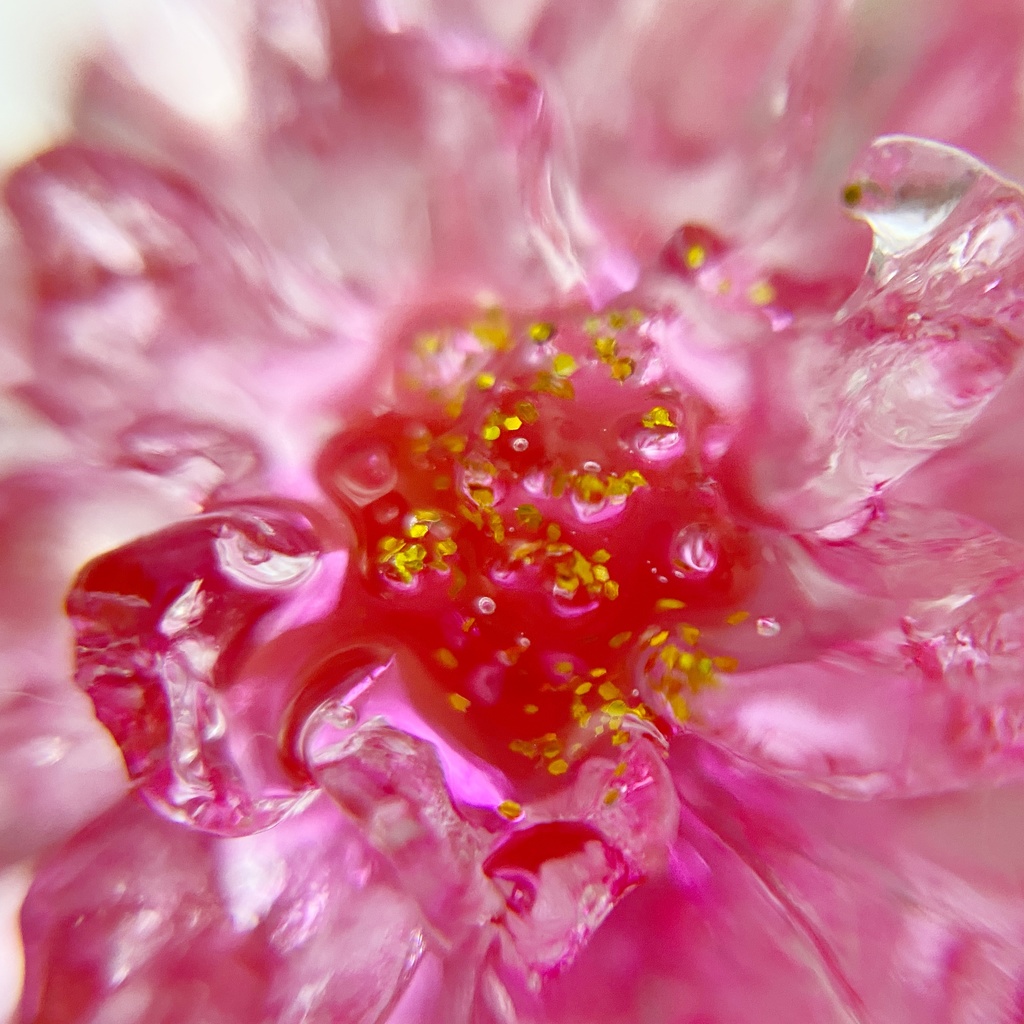 桃色のお花ピン