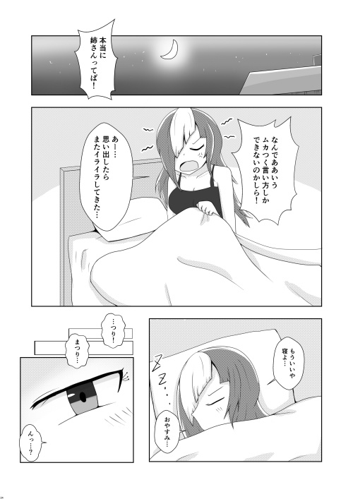 【けだるげ砲(隣)発行】平成最後のスカウト花火