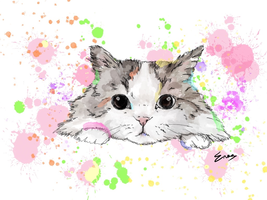 見上げる眼差し 猫