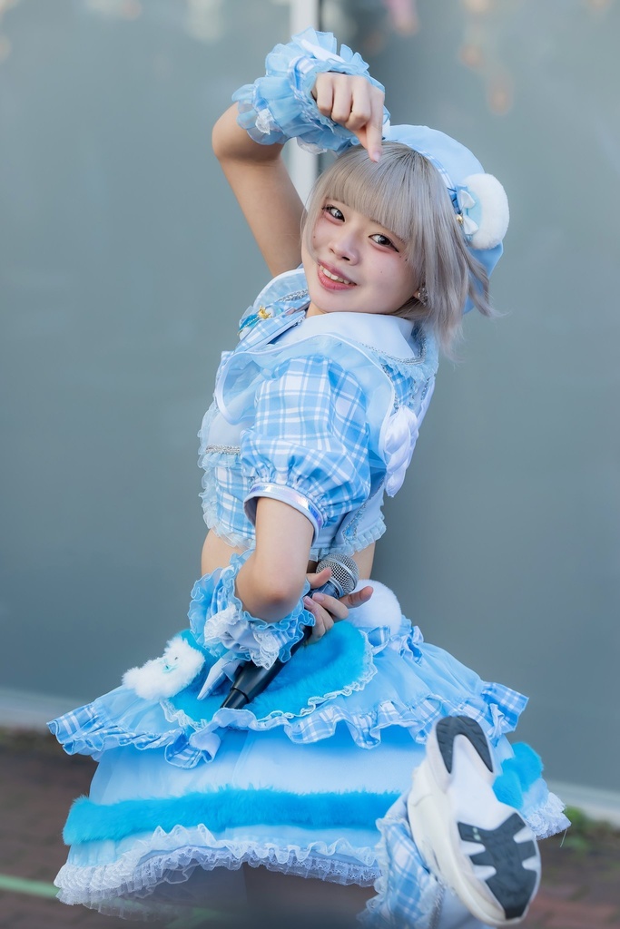 しゃるぷりの使い魔達(ハンドメイド商品モールドール)