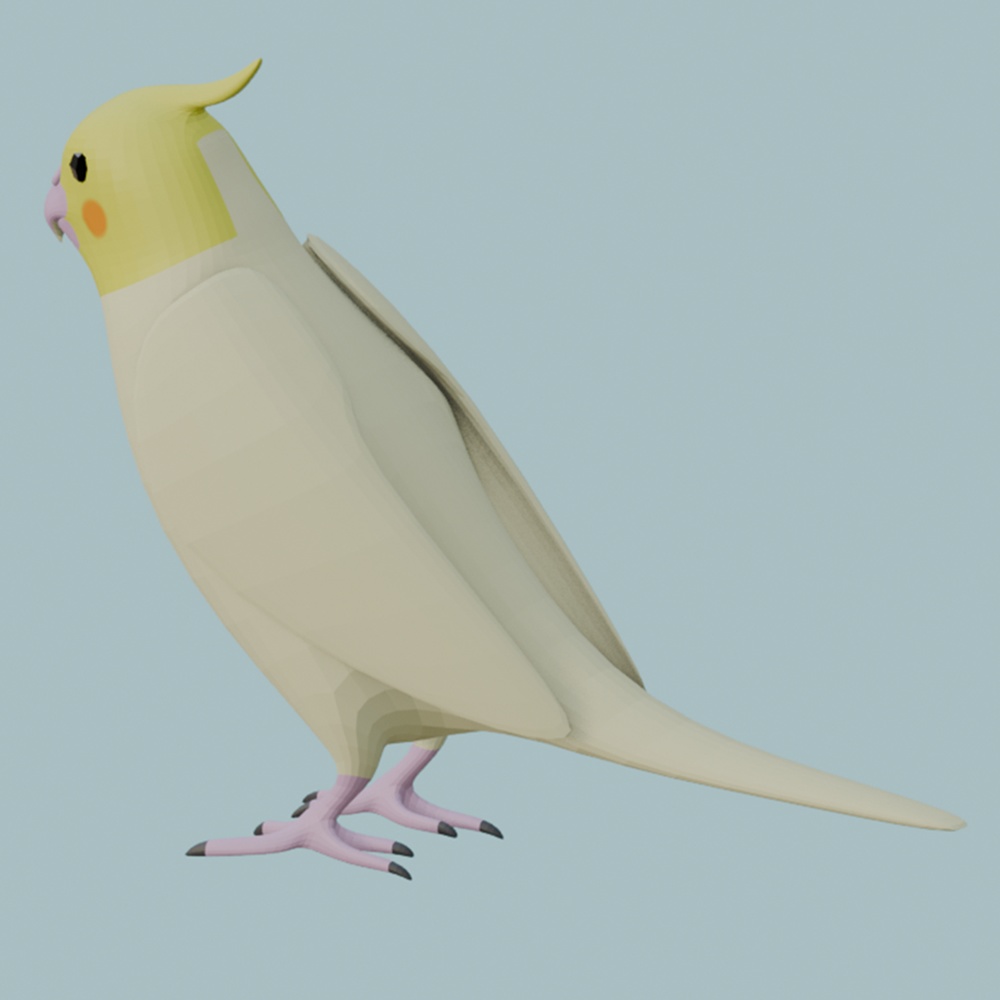 【3Dモデル】オカメインコ(白オカメ)