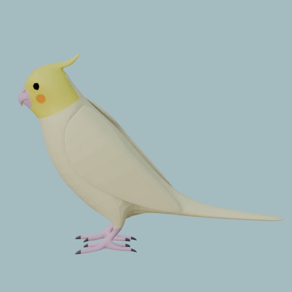 【3Dモデル】オカメインコ(白オカメ)