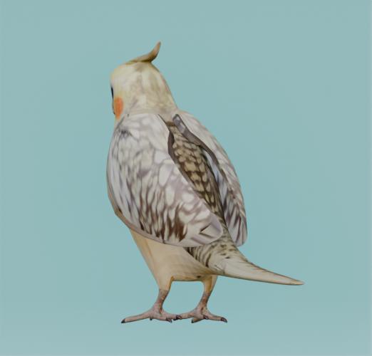 【3Dモデル】オカメインコ(シナモンパール)