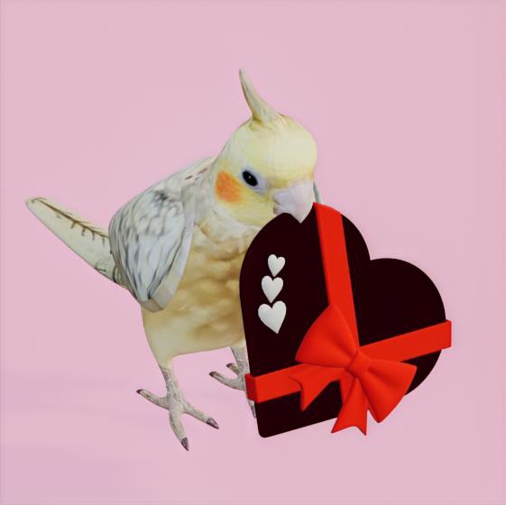【3Dモデル】オカメインコ バレンタイン チョコ(首振り)