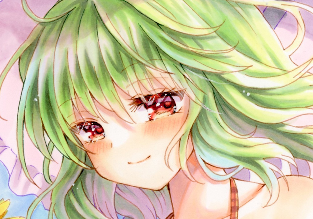 手描きイラスト 東方Project 風見幽香<難あり>