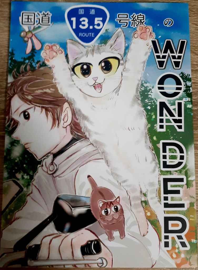 国道13.5号線のWONDER